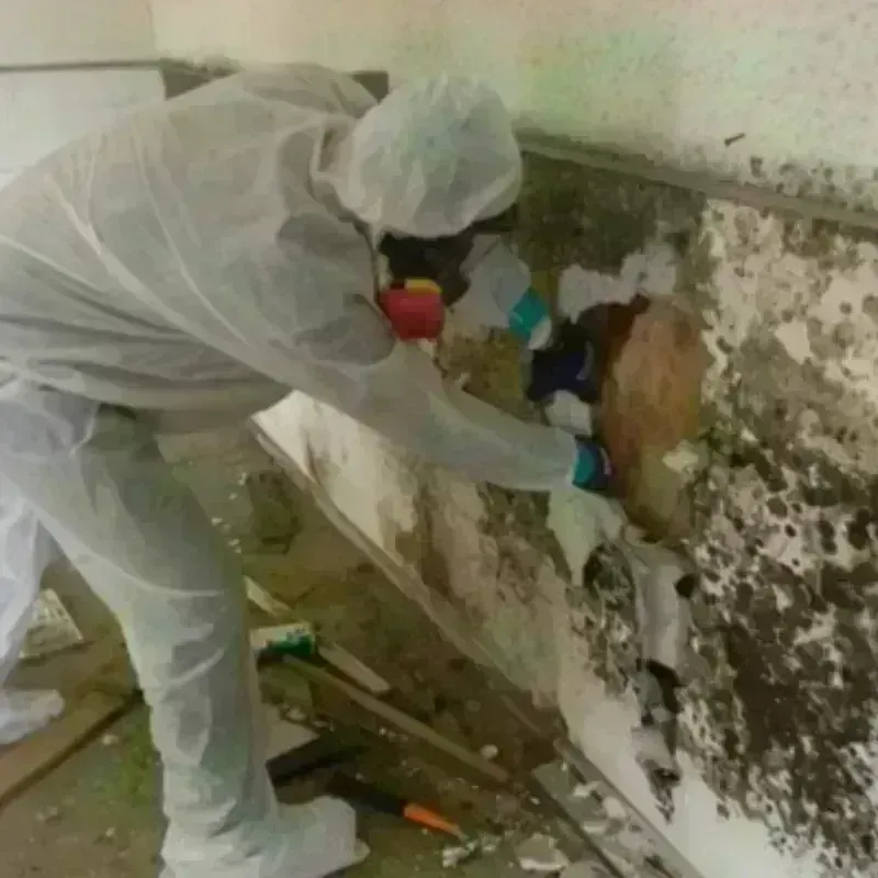 Mold Remediation and Removal in Deenwood, GA