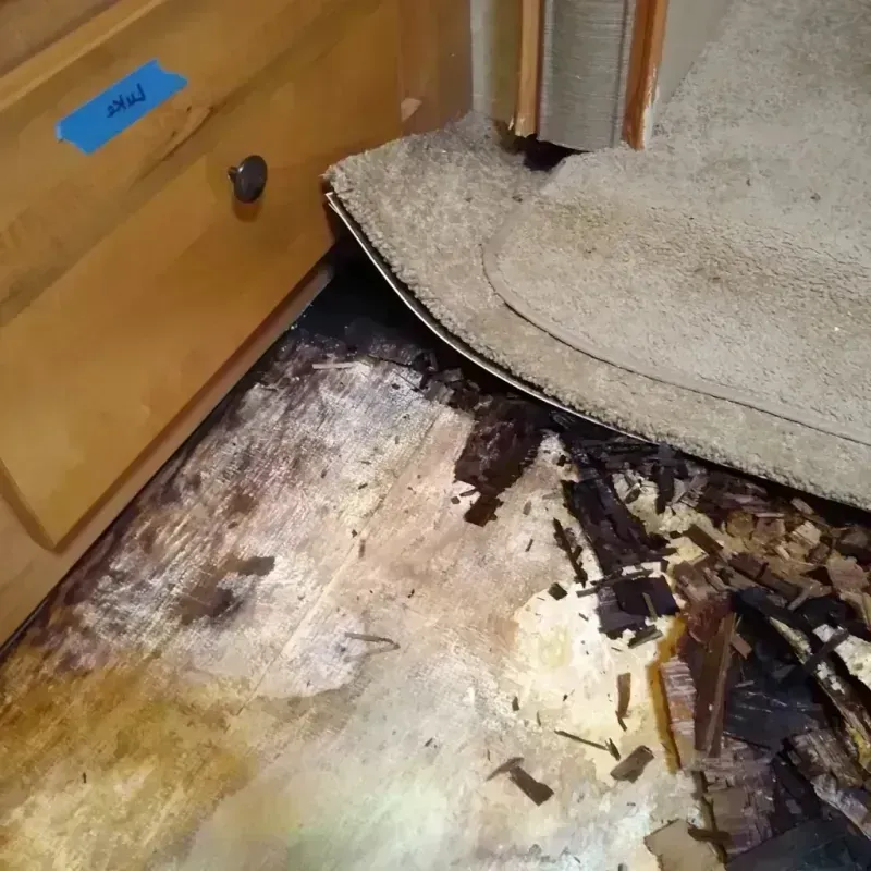 Wood Floor Water Damage in Deenwood, GA